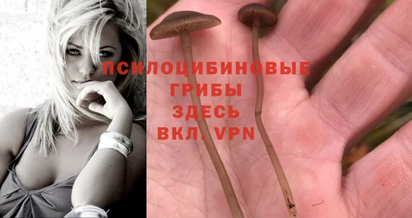 героин Лиски