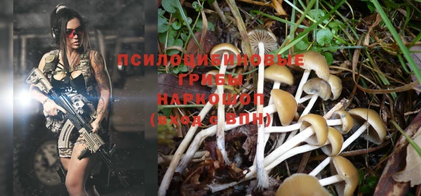 гидропоника Липки